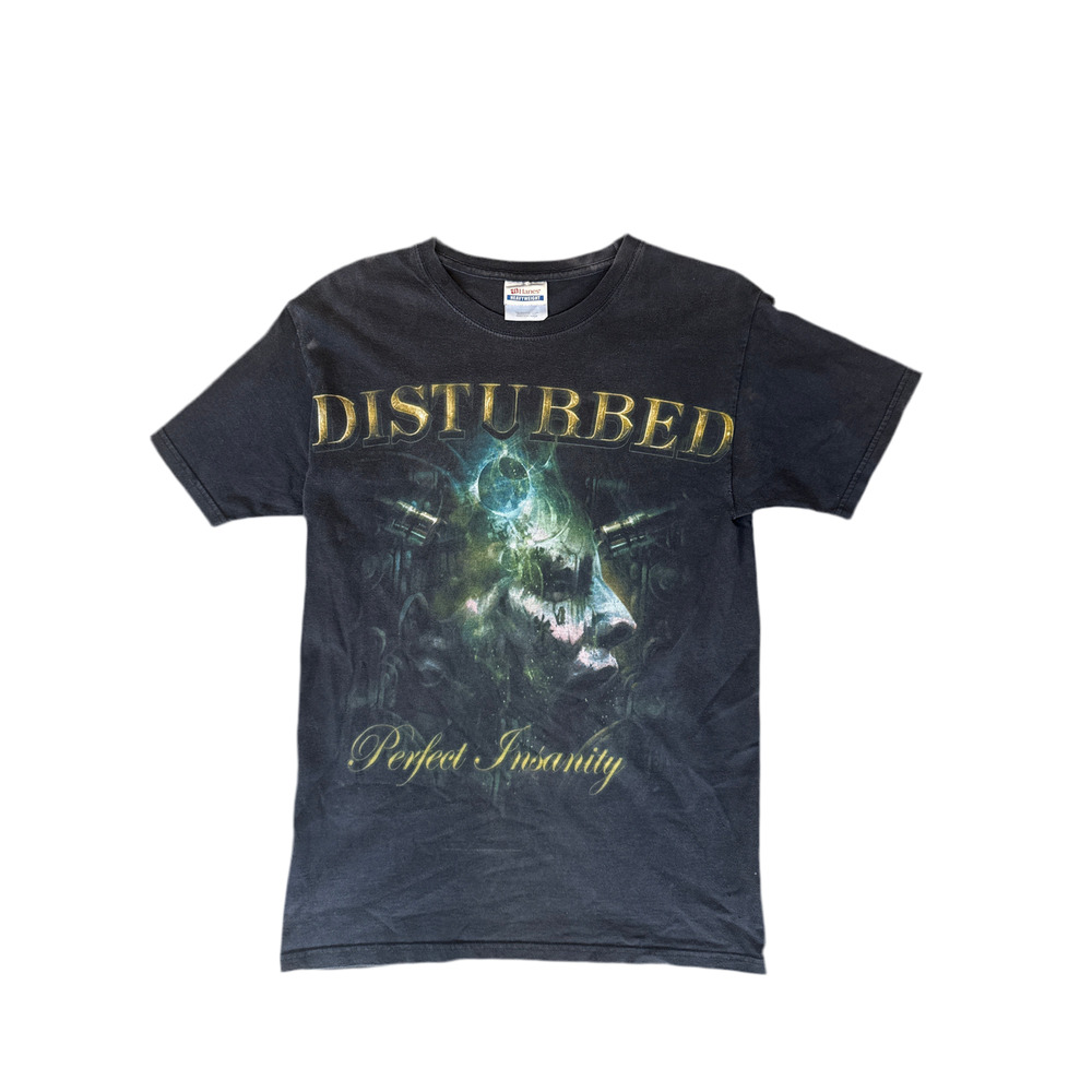 Disturbed “Perfect Insanity” Vintage Band Tee (2008) – Hanes Heavyweight